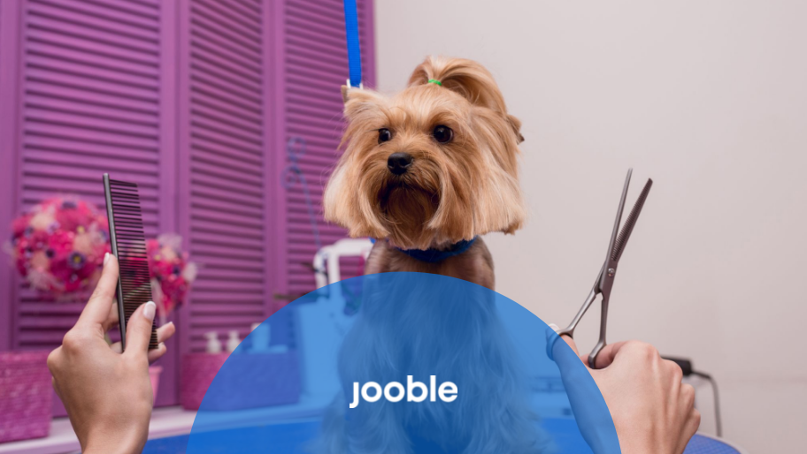 10 Fun Jobs in the World